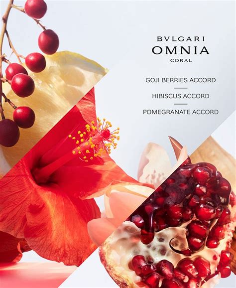 macy's omnia coral gift set.